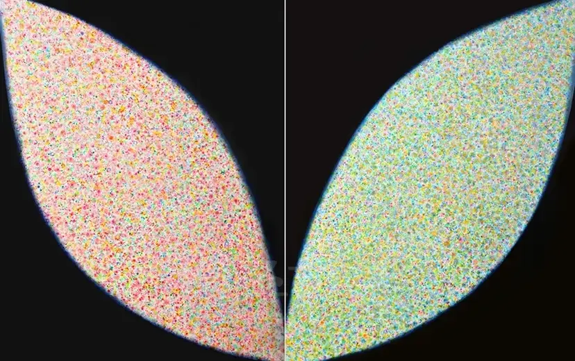 Whispering Light 15003(2016), 130x162cm, 캔버스에 아크릴(왼쪽), Whispering Light 15004(2016), 130x162cm, 캔버스에 아크릴(오른쪽).