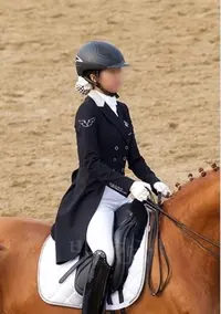 리즈 영입자금으로는 정유라의 말 한 마리도 살 수 없었다.
