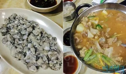 요즘 대전집에 가면 덕적굴(왼쪽)을 먹어봐야 한다. 덕적도에서 캔 자연산 굴인데, 아는 사람들만 구해서 먹는다. 숟가락으로 떠서 간장을 살짝 찍어 먹는다. 대전집의 또 하나의 명물은 스지탕(소 힘줄탕). 일제 강점기부터 이어져왔다.