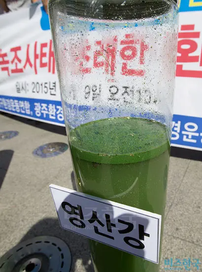 2015년 9월 9일 서울 광화문광장에서 환경운동연합 회원들이 녹조 가득한 4대강 강물을 보여주며 환경부 규탄 기자회견을 열었다. 사진=비즈한국DB