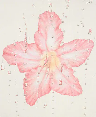 생명의 시론(사막장미 시리즈 5): 65x79cm, 견본채색, 2013년.