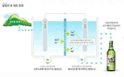 공정거래위원회로부터 2012년 4월 제재를 받을 당시 롯데주류 인터넷 홈페이지 화면. 그림 왼쪽 상단을 보면 ‘대관령 청정수’라는 문구가 선명하다.