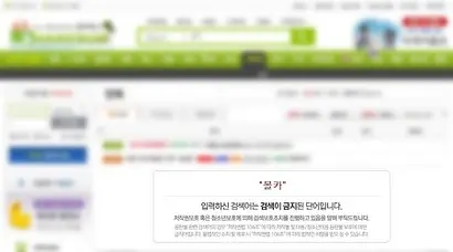 한 웹하드사이트의 ‘몰카’​ 키워드 검색​ 경고 문구