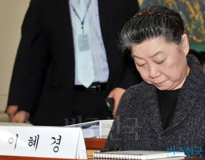 2013년 11월 국회 국정감사 증인으로 출석한 이혜경 전 동양그룹 부회장. 사진=비즈한국DB