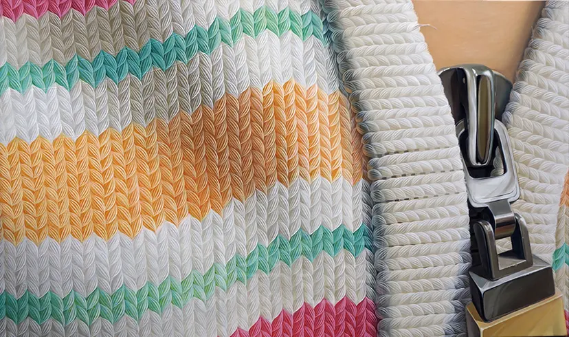 woolscape-lower zipper: 100x60cm, 캔버스에 유화, 2010년