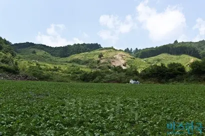 2005년 6월 최순실 씨와 전 남편 정윤회 씨가 강원도 평창군 용평면 도사리 소재의 땅 10필지 23만 431㎡를 매입했다. 이후 두 사람은 딸 정유라 씨에게 땅 지분을 증여했고, 현재 최 씨 모녀가 공동 소유하고 있다. 사진=최준필 기자