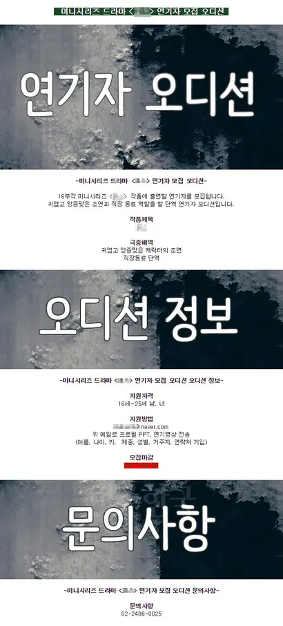문제의 오디션 공고에는 방영될 방송사, 제작사, 주연급 배우 등의 정보를 찾아볼 수 없다. 포털사이트 검색에선 아무런 결과가 나오지 않았다. 처음부터 존재하지 않은 드라마의 오디션을 봤을 확률이 높다.