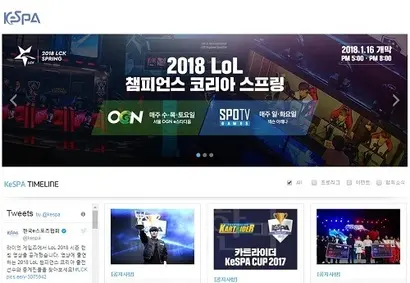 그동안 e스포츠는 협회가 주도했다. 사진=한국e스포츠협회 홈페이지 캡처