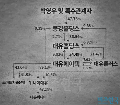 2017년 9월 말 기준 대유그룹 주요 계열사들의 지배구조 현황. 그래픽=이세윤 PD