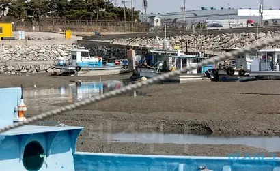 남양만 인근에 위치한 어선들. 사진=고성준 기자