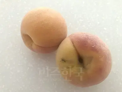 색도 곱고 맛, 향도 훌륭한 복숭아 품종인 ‘광황’. 못난이 복숭아라도 맛만 좋다. 사진=이해림 제공