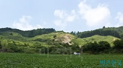 정유라 씨가 대출 담보로 제공한 평창 소재 토지. 사진=최준필 기자