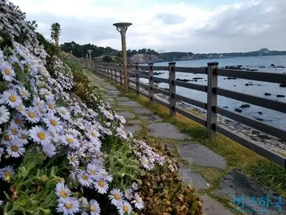 미처 유명세를 타지 못한 ‘작가의 산책길’은 주민에게나 여행자에게 선물 같은 한적함을 준다. 바다와 숲을 끼고 그림과 시를 벗 삼아 걷다보면 그것으로 휴식이 된다. 사진=이송이 기자