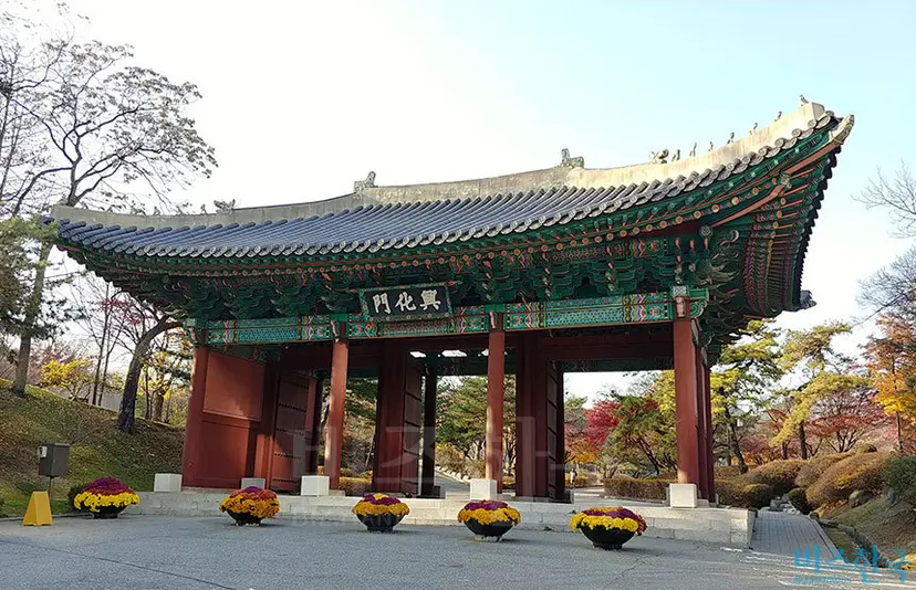 경희궁의 정문, 흥화문은 나라가 일제시대에 경성중학교에 밀려 길가로 나앉고, 나라를 빼앗은 원수(이토 히로부미)의 사당 정문이 되었다가, 호텔의 대문이 되기도 했다. 수십 년 만에 우여곡절 돌아왔으나, 이미 자기 자리에는 큰 빌딩이 들어선 후라 결국 엄한 곳에 자리 잡았다. 사진=비즈한국DB