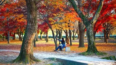 경주 단풍은 아는 사람 사이에선 익히 유명하다. 개발을 못하는 유적지의 숙명으로 도시는 옛 모습을 간직한 채 지천에 나무와 숲이 한가롭게 펼쳐진다. 사진=경주시청 제공