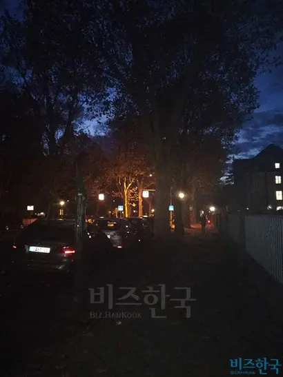 11월 초 오후 5시쯤 베를린 주택가 풍경. 이미 밤처럼 깜깜하다. 사진=박진영 제공