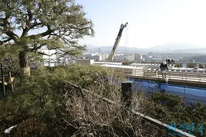 2005년 신춘호 농심 회장 집에서 찍은 삼성가족타운 신축공사 모습. 사진=비즈한국DB