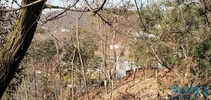 임창욱 대상그룹 명예회장은 새 단독주택을 짓기 위해 토지 3필지를 매입했으나, 임야 2필지를 용도변경하지 못해 마당이나 주차장으로 활용하지 못했다. 임 명예회장 소유의 임야에서 바라본 단독주택. 사진=유시혁 기자
