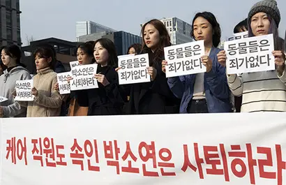 무분별한 안락사를 자행했다는 폭로가 나온 동물권단체 ‘케어’의 직원들이 12일 오후 서울 광화문광장에서 박소연 케어 대표의 사퇴를 촉구하는 기자회견을 열고 있다. 사진=연합뉴스