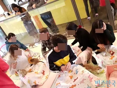 대다수 야생동물카페는 이용자들이 자유롭게 동물을 만질 수 있도록 하고 있다. 야생동물카페가 생겨난 지 2년이 흘렀지만, 관련 규정이나 법안은 없다. 사진=김명선 기자