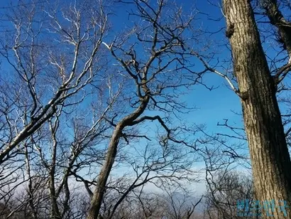 인생의 진정한 재미는 숲과 묵직한 바위가 나타나고 조금씩 저 아래 세상도 보이는 중반부 이상의 길, 40대부터 다시 시작되는 그 길이 아닐까. 사진=이송이 기자