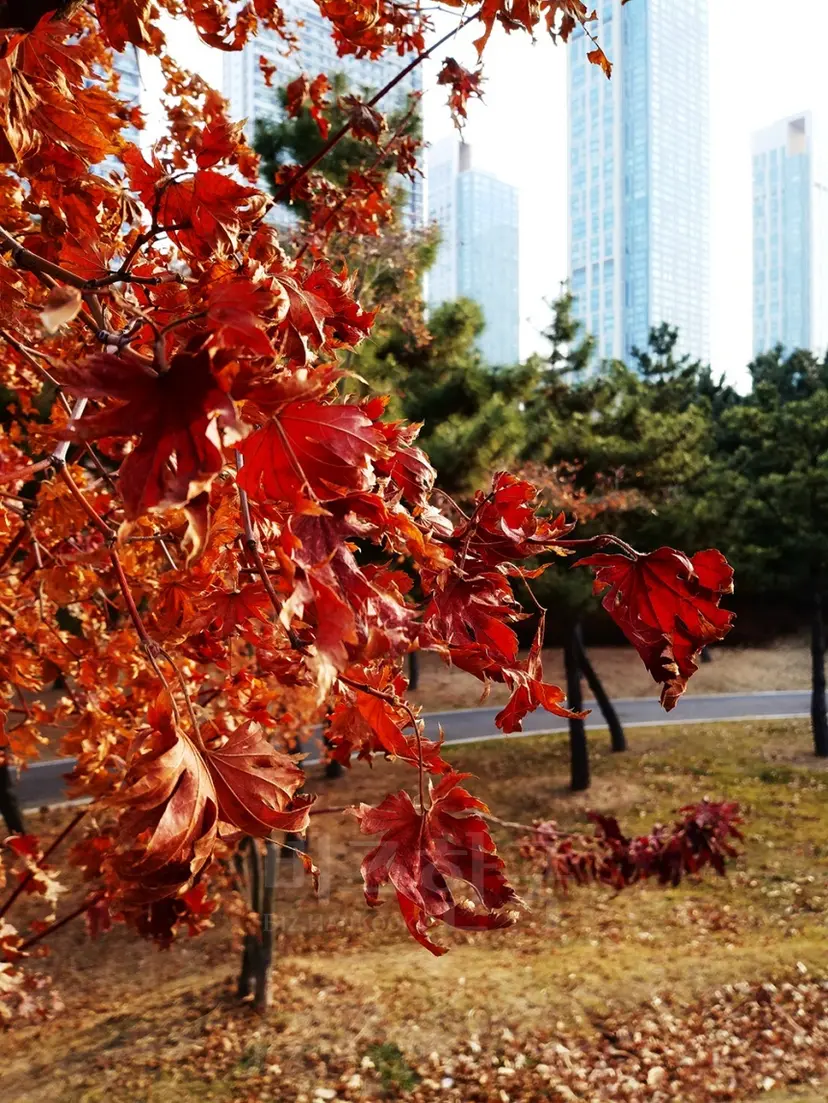 사진=김정철 제공
