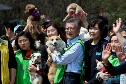 문재인 대통령은 ‘동물병원 자율적 표준진료제’를 선거 공약으로 내세웠다. 사진은 문 대통령이 대선후보 시절 서울 마포구 월드컵공원 내 반려견 놀이터를 찾은 모습. 사진=고성준 기자