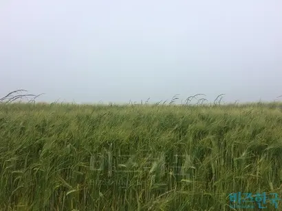 걷다 보면 ‘왜 걷지?’라는 자문이 계속된다. 사진=박현광 기자
