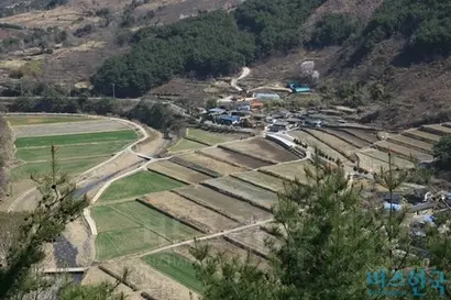 깊은 산골에선 다랑이 논이 흔하다. 경사가 가파르니 윗마을에도 아랫마을에도 자연스럽게 다랑이 논이 펼쳐진다. 사진=이송이 기자