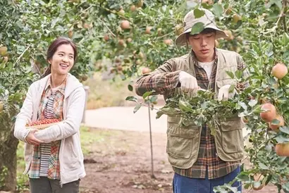 우프(WWOOF)는 영화 ‘리틀 포레스트’ 속 주인공처럼 농촌 경험의 기회를 제공하고 있다. 사진=리틀 포레스트 스틸