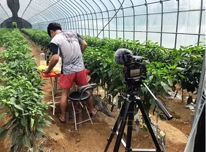 오창언 씨가 비닐하우스에서 카메라로 유튜브 영상을 촬영하는 모습. 사진=오창언 제공