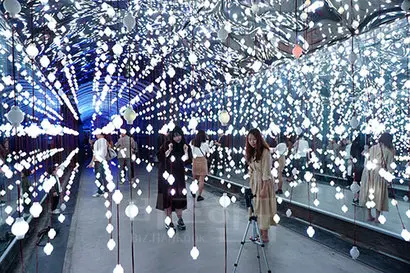 LED 조명으로 둘러싸인 다리를 건너면 빛과 소리가 빚어내는 꿈의 세계가 펼쳐지고, 빛터널을 빠져나오면 5만 송이 LED 장미가 가득한 비밀의 정원이 맞아준다. 사진=구완회 제공
