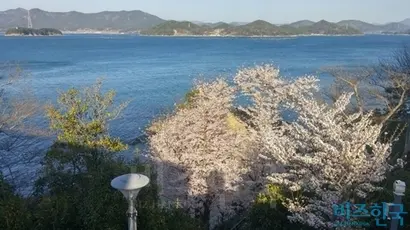 매일 밥 먹듯, 술 먹듯, 하루의 일과처럼 한 개의 공연을 보다보니 어느새 귀는 현대 클래식에 익숙해지고 진지하고 엄숙하기만 했던 클래식에 대한 관념도 점차 말랑해진다. 음악당에서 바라본 풍경. 사진=이송이 기자