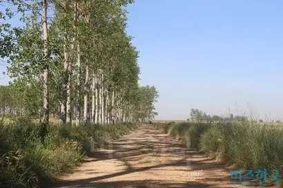 평소보다 두 배 느리게 걸었지만, 두 배 기쁘게 걸었다. 사실 느리게 걷는 게 빠르게 걷는 것보다 더 힘들다는 걸 깨달았다. 사진=박현광 기자