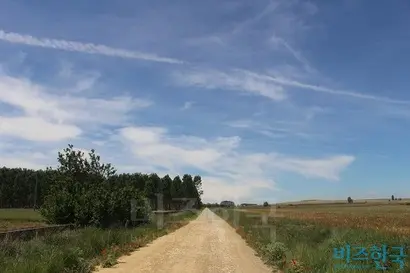 조급하면 돌부리에 걸려 넘어진다. 돌부리가 미울지도 모르지만, 어쩌면 돌부리에 고마워할 필요도 있을지 모르겠다. 덕분에 난 오늘의 길을 온전히 걸었다.​ 사진=박현광 기자