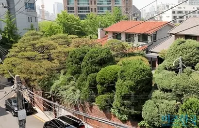 구광모 LG그룹 회장의 친부 구본능 희성그룹 회장이 삼성동 단독주택을 부인과 딸에게 증여했다. 사진=박정훈 기자