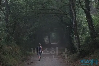 숲길을 혼자 걷는 이탈리아 소녀 아나리사. 그녀는 관광객이 늘어나는 사리아 마을을 지난 뒤 불만을 터뜨렸다. 사진=박현광 기자