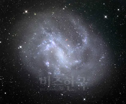 사냥개자리 방향으로 약 1400만 광년 거리에 떨어져 있는 왜소은하 NGC 4395의 모습. 천문학자들은 이 안에 숨어있을 것으로 추정되는 중간 질량 블랙홀을 발견했다. 사진=Mount Lemmon Observatory