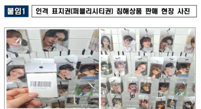 퍼블리시티권 침해 상품 판매 사례. 사진=지식재산처