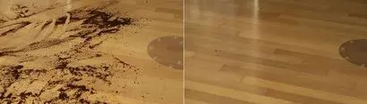 커피 가루를 뿌려놓고 외출한 뒤에 원격으로 두 번 청소한 상태. 커피 가루를 거의 찾기 힘들 정도로 청소가 됐다. 다만 카펫 청소는 흡입력에 한계가 있다. 사진=김정철 제공