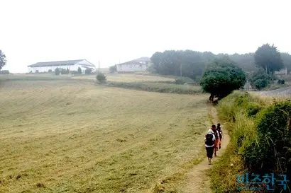 길을 걷는 순례자들. 순례 끝자락에 접어들면 오히려 몸이 가뿐하고 몸에 힘이 붙는다. 사진=박현광 기자