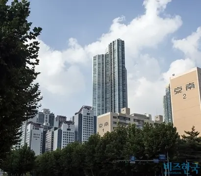김홍국 하림 회장이 4개월간 거주했다고 알린 도곡동 타워팰리스 아파트. 사진=박정훈 기자