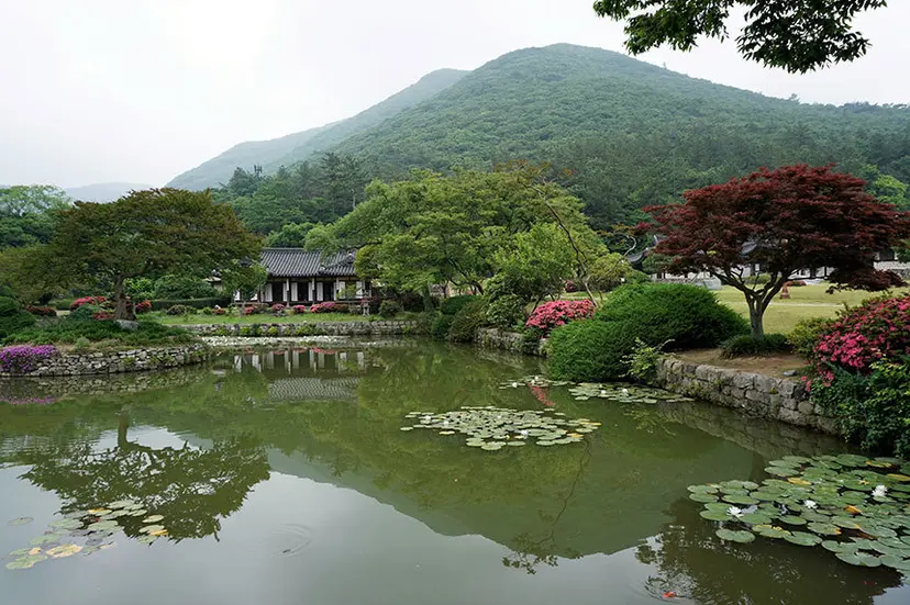 첨찰산 자락에 아침저녁으로 피어오르는 안개가 구름 숲을 이룬다는 운림산방. 남종화의 대가 소치 허련이 1857년 지었다. 사진=구완회 제공