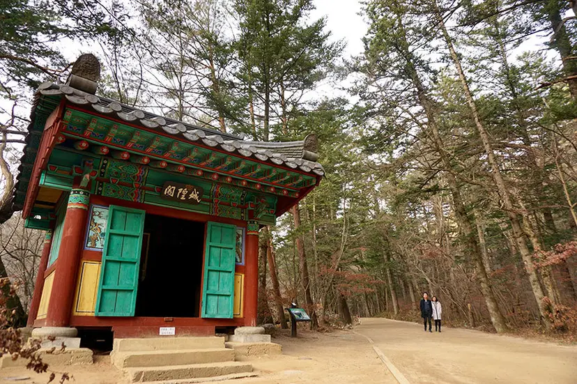월정사는 일주문에서 본채까지 대략 1km에 걸친 아름드리 전나무 숲길로도 유명하다. 이 숲길의 별명은 ‘천년의 숲길’이다. 사진=구완회 제공
