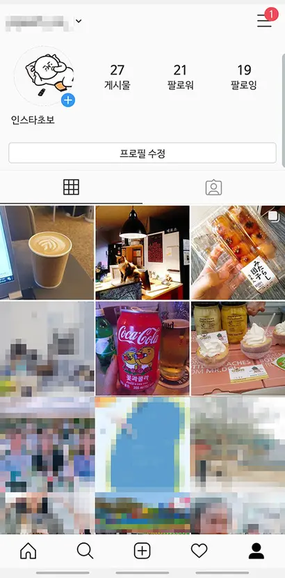 나는 눈팅족이다. 인스타그램 닉네임은 ‘인스타초보’. 팔로어는 21명이다.