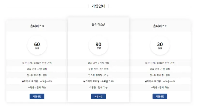 ‘회원모집형 부업 사이트’ 홈페이지에 뜬 가입안내. 초기비용에 따라 등급이 달라진다. 등급별로 시행할 수 있는 부업의 종류도 다르다.