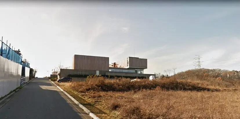 김범수 의장이 경기도 성남시 분당구 하산운동 소재 남서울파크힐에 지은 단독주택. 사진=구글어스