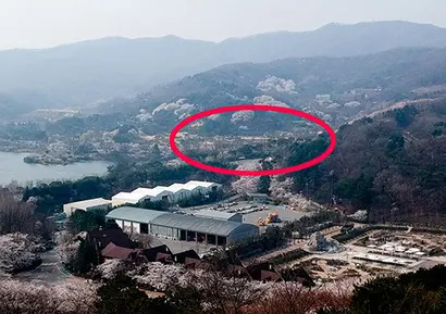 고(故) 이병철 묘지 인근에 위치한 불법 연못 조성 의혹이 있는 가실리 땅. 사진=임준선 기자