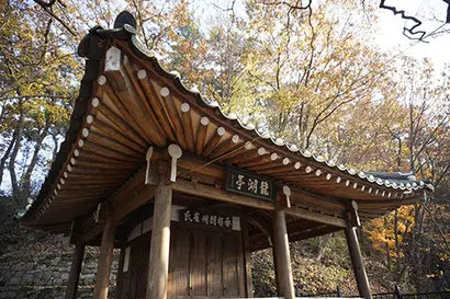 조선 순조 때 선비 최영택은 부친상을 당하자 3년 동안 강 건너 산에 있는 묘소에 하루 세 번씩 거르지 않고 성묘를 했다. 이런 아버지를 안타깝게 여긴 아들 최규문이 그 자리에 비바람을 피할 수 있는 정자를 지은 것이 용호정원림의 시작이다. 사진=구완회 제공