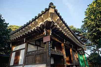 야트막한 돌담 안으로 들어서면 동백정이란 이름처럼 뜰 안에 동백이 가득하다. 사진=구완회 제공